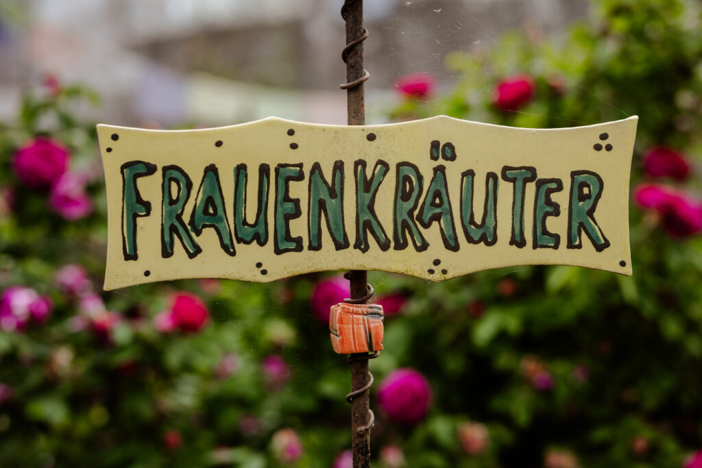 Frauenkräuter im Garten von Birgit Lecheler in Breitenthal